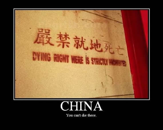 好玩又搞笑图片集锦