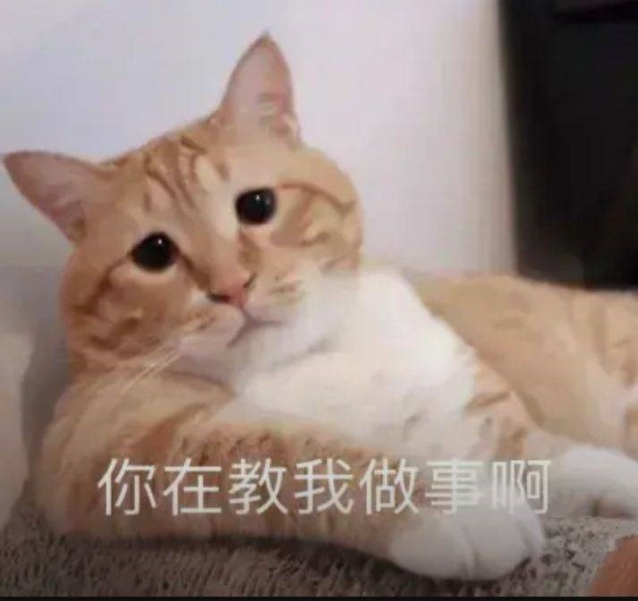 轻松一刻:一王二后?现在年轻人是真会玩啊! 轻松一刻:一王二后?现在年轻人是真会玩啊!