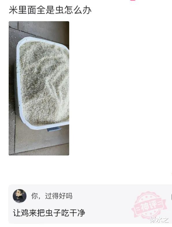 “去女老板家上厕所,发现没洞,这怎么用?”网友回复太狠了! “去女老板家上厕所,发现没洞,这怎么用?”网友回复太狠了!