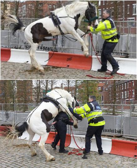 裤子质量不行就完了