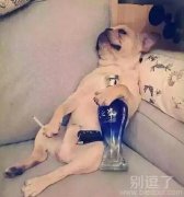 一根烟，一杯酒，谁陪我走