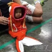 咱是一条萌萌的鱼 咱是一条萌萌的鱼