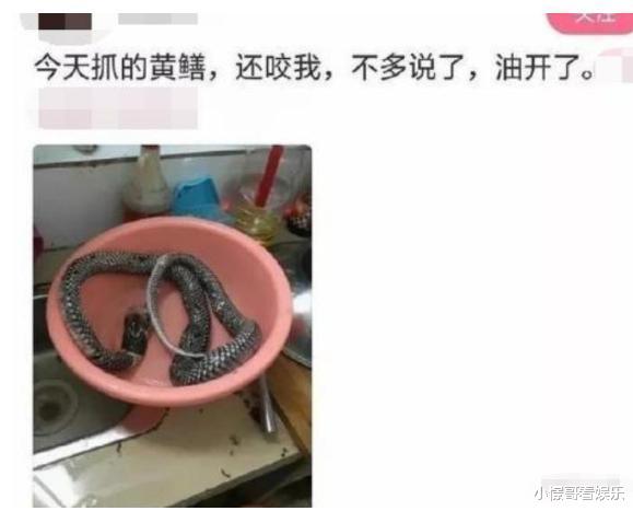 “老婆手机上看到的,我被绿的可能性有多大?”哈哈哈哈哈哈哈我看悬 “老婆手机上看到的,我被绿的可能性有多大?”哈哈哈哈哈哈哈我看悬