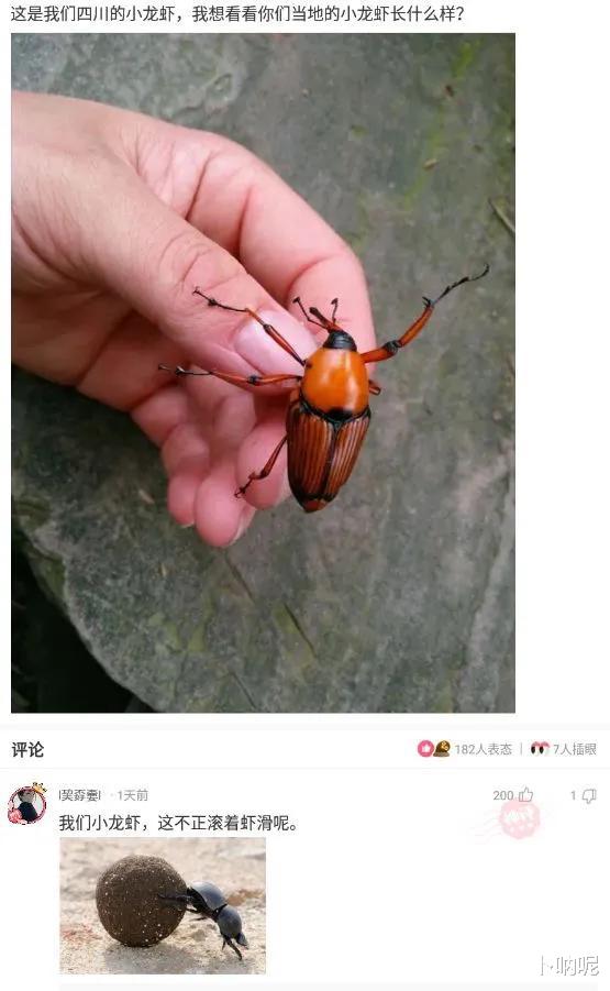 当紧身的瑜伽裤成为一种穿着潮流的时候,男生们也开始去健身房锻炼身体了。 当紧身的瑜伽裤成为一种穿着潮流的时候,男生们也开始去健身房锻炼身体了。