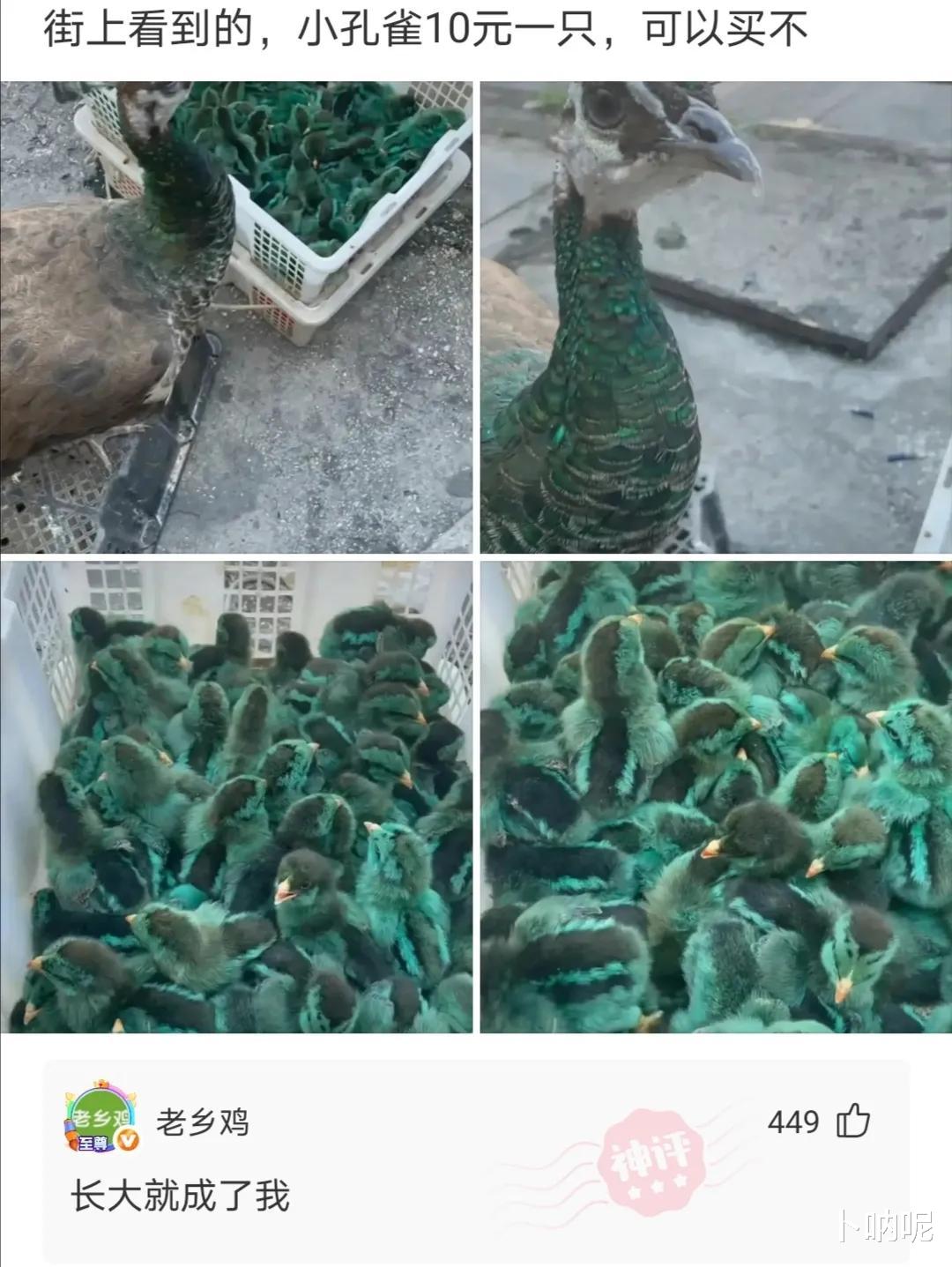 当紧身的瑜伽裤成为一种穿着潮流的时候,男生们也开始去健身房锻炼身体了。 当紧身的瑜伽裤成为一种穿着潮流的时候,男生们也开始去健身房锻炼身体了。