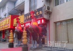 在门前的两只公鸡。。