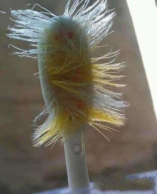 生活节俭到这样