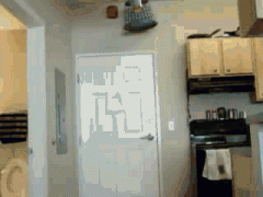 抓到一只野生生物 抓到一只野生生物