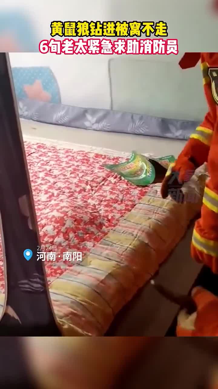 轻松一刻：女朋友是足疗师，一次挣2万正常吗？