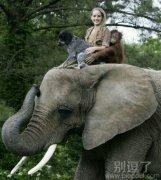一只大象背上的故事。。