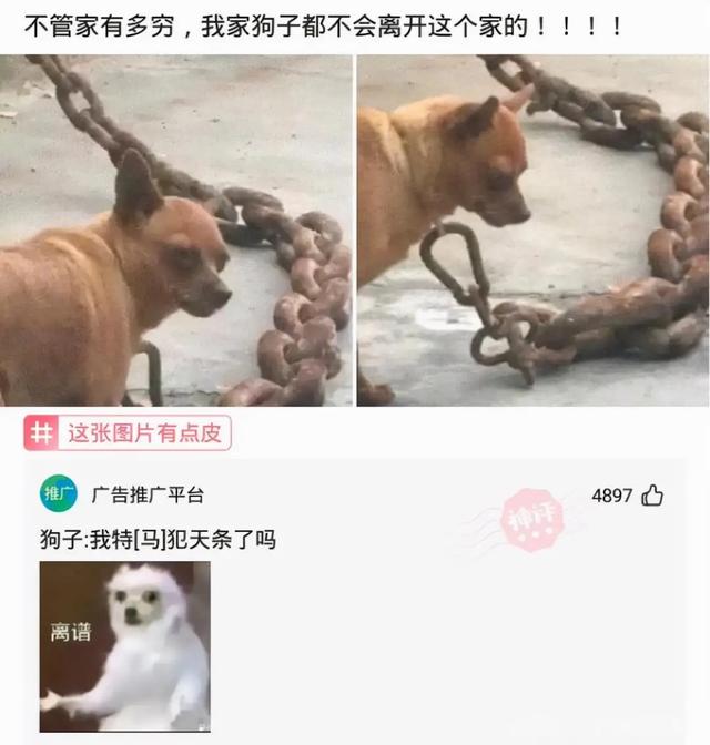 “舅舅说左边的女孩最漂亮,但我最终选择穿绿裙子的!”哈哈哈 “舅舅说左边的女孩最漂亮,但我最终选择穿绿裙子的!”哈哈哈
