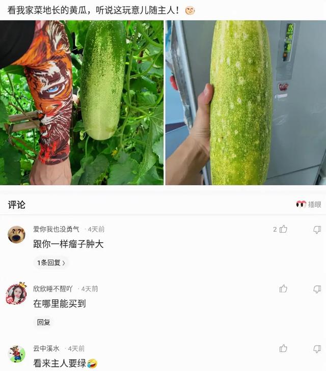 “舅舅说左边的女孩最漂亮,但我最终选择穿绿裙子的!”哈哈哈 “舅舅说左边的女孩最漂亮,但我最终选择穿绿裙子的!”哈哈哈