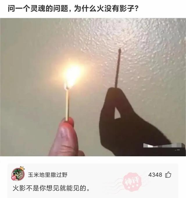 “舅舅说左边的女孩最漂亮，但我最终选择穿绿裙子的！”哈哈哈