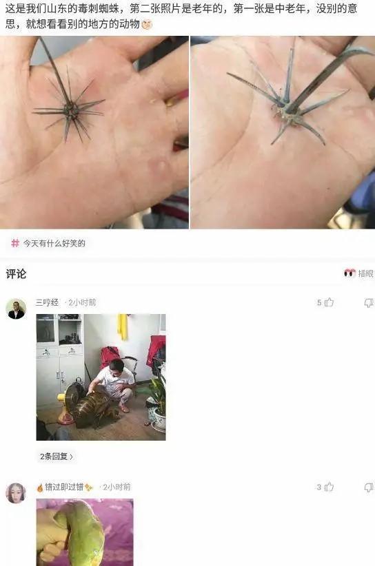 “舅舅说左边的女孩最漂亮,但我最终选择穿绿裙子的!”哈哈哈 “舅舅说左边的女孩最漂亮,但我最终选择穿绿裙子的!”哈哈哈