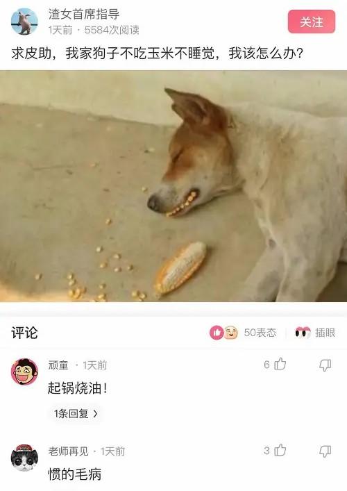 “舅舅说左边的女孩最漂亮,但我最终选择穿绿裙子的!”哈哈哈 “舅舅说左边的女孩最漂亮,但我最终选择穿绿裙子的!”哈哈哈