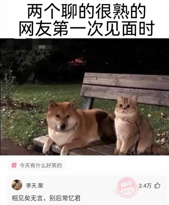 “舅舅说左边的女孩最漂亮，但我最终选择穿绿裙子的！”哈哈哈