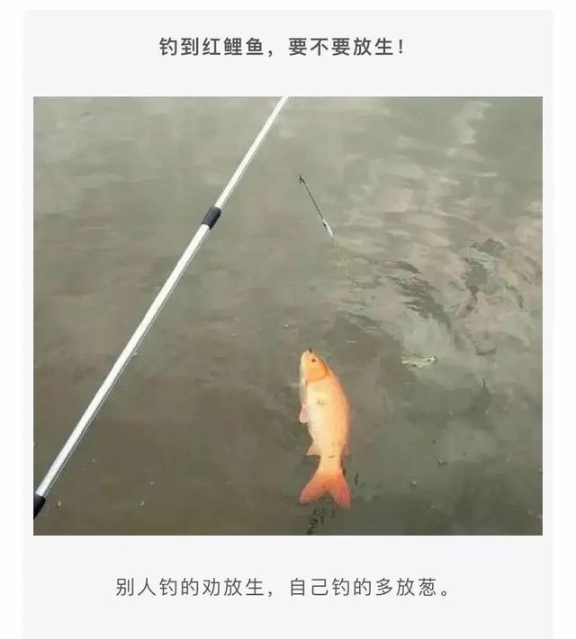 敢不敢给对象发“我下凡太久要回天庭了”,网友的回答笑翻了 敢不敢给对象发“我下凡太久要回天庭了”,网友的回答笑翻了