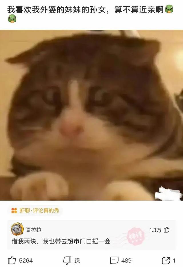 敢不敢给对象发“我下凡太久要回天庭了”,网友的回答笑翻了 敢不敢给对象发“我下凡太久要回天庭了”,网友的回答笑翻了