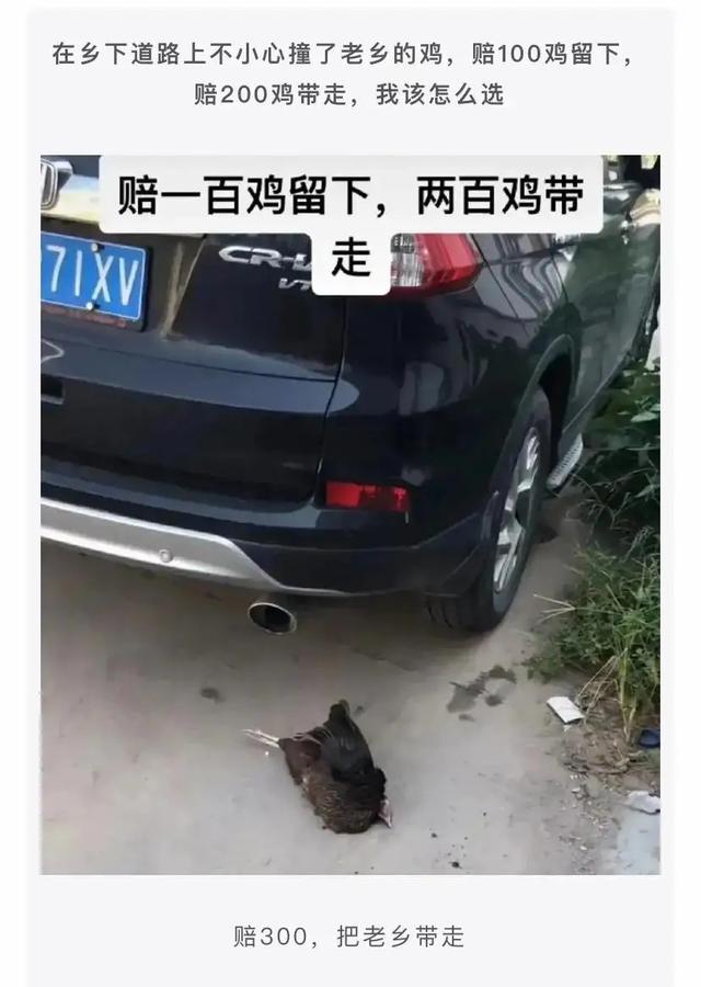 敢不敢给对象发“我下凡太久要回天庭了”,网友的回答笑翻了 敢不敢给对象发“我下凡太久要回天庭了”,网友的回答笑翻了