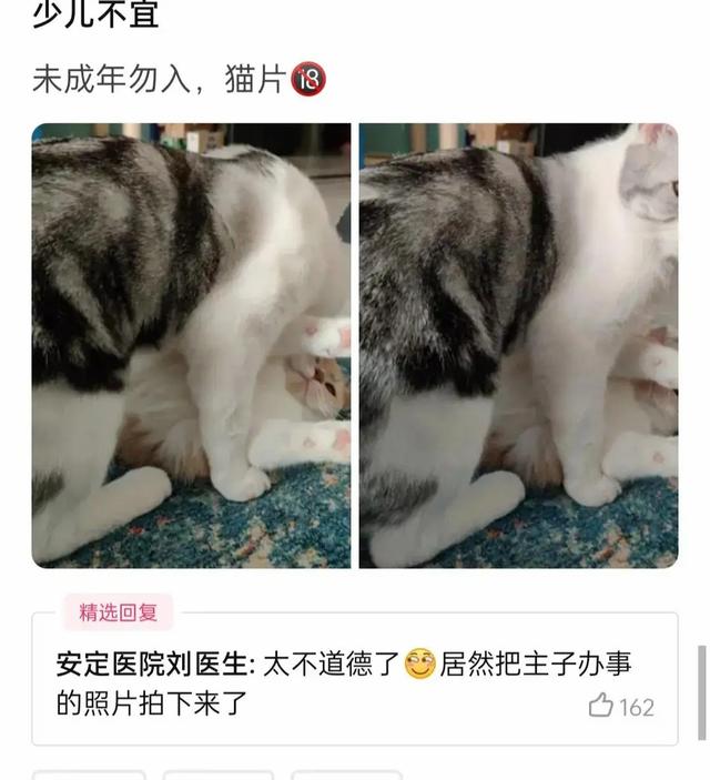 敢不敢给对象发“我下凡太久要回天庭了”,网友的回答笑翻了 敢不敢给对象发“我下凡太久要回天庭了”,网友的回答笑翻了