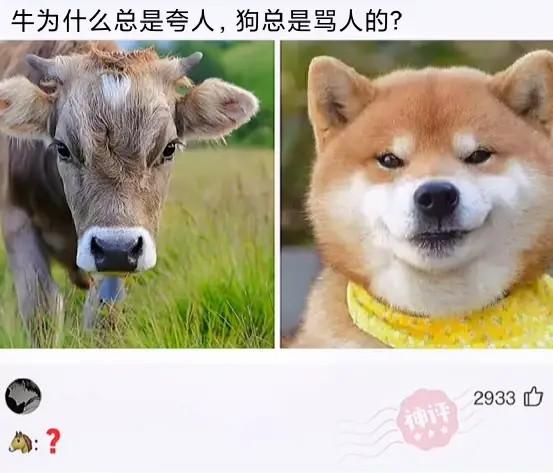 敢不敢给对象发“我下凡太久要回天庭了”,网友的回答笑翻了 敢不敢给对象发“我下凡太久要回天庭了”,网友的回答笑翻了
