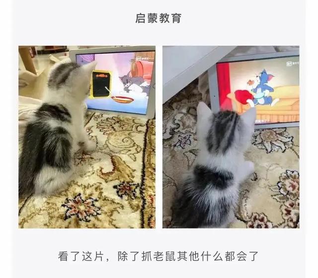 敢不敢给对象发“我下凡太久要回天庭了”,网友的回答笑翻了 敢不敢给对象发“我下凡太久要回天庭了”,网友的回答笑翻了