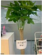 真的有人倒热水? 真的有人倒热水?