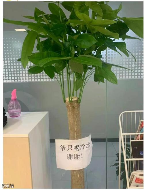 真的有人倒热水? 真的有人倒热水?