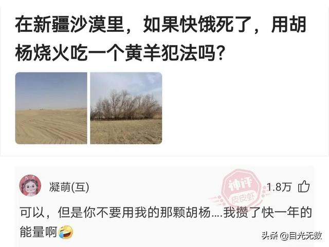 神回复（38）机会留给有准备的人