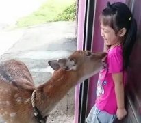 美眉,你真的确定吗 美眉,你真的确定吗