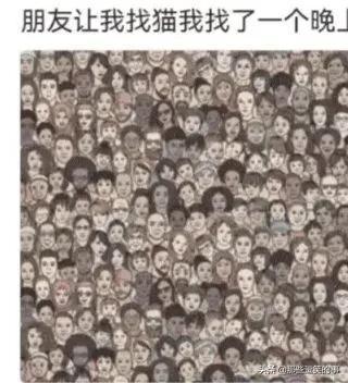 神回复:我不信有女生敢穿这衣服!哈哈哈,这买家秀太亮眼了吧 神回复:我不信有女生敢穿这衣服!哈哈哈,这买家秀太亮眼了吧