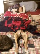 看看你们干的好事。