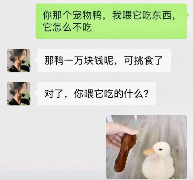 神回复:这个图你看懂是什么意思了吗? 神回复:这个图你看懂是什么意思了吗?