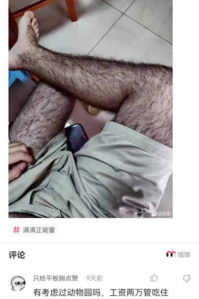 神回复：这个图你看懂是什么意思了吗？