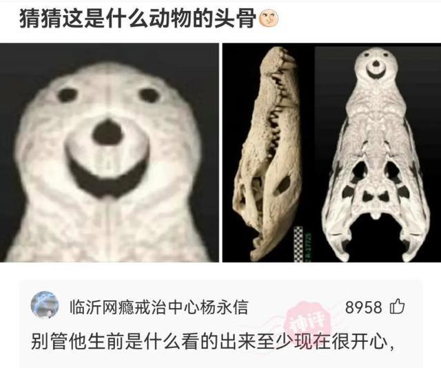 神回复:这个图你看懂是什么意思了吗? 神回复:这个图你看懂是什么意思了吗?