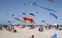 天上飞的是神马。闪瞎你的眼