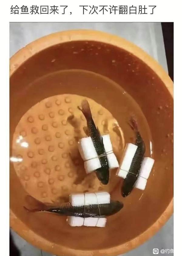 轻松一刻:兔子不吃窝边草,老婆就往人窝里跑… 轻松一刻:兔子不吃窝边草,老婆就往人窝里跑…