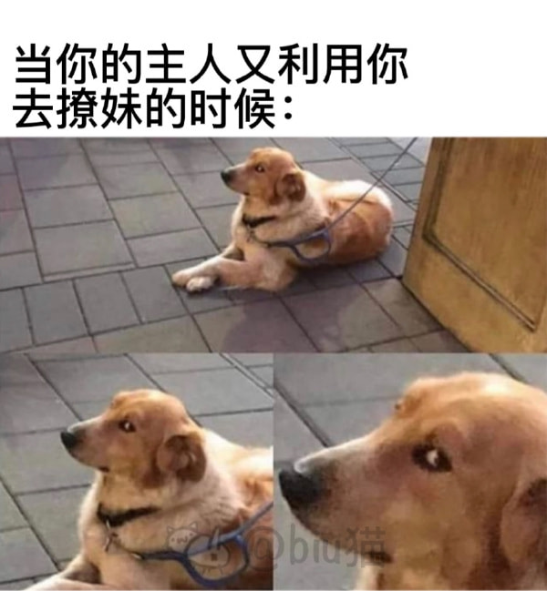 轻松一刻:兔子不吃窝边草,老婆就往人窝里跑… 轻松一刻:兔子不吃窝边草,老婆就往人窝里跑…