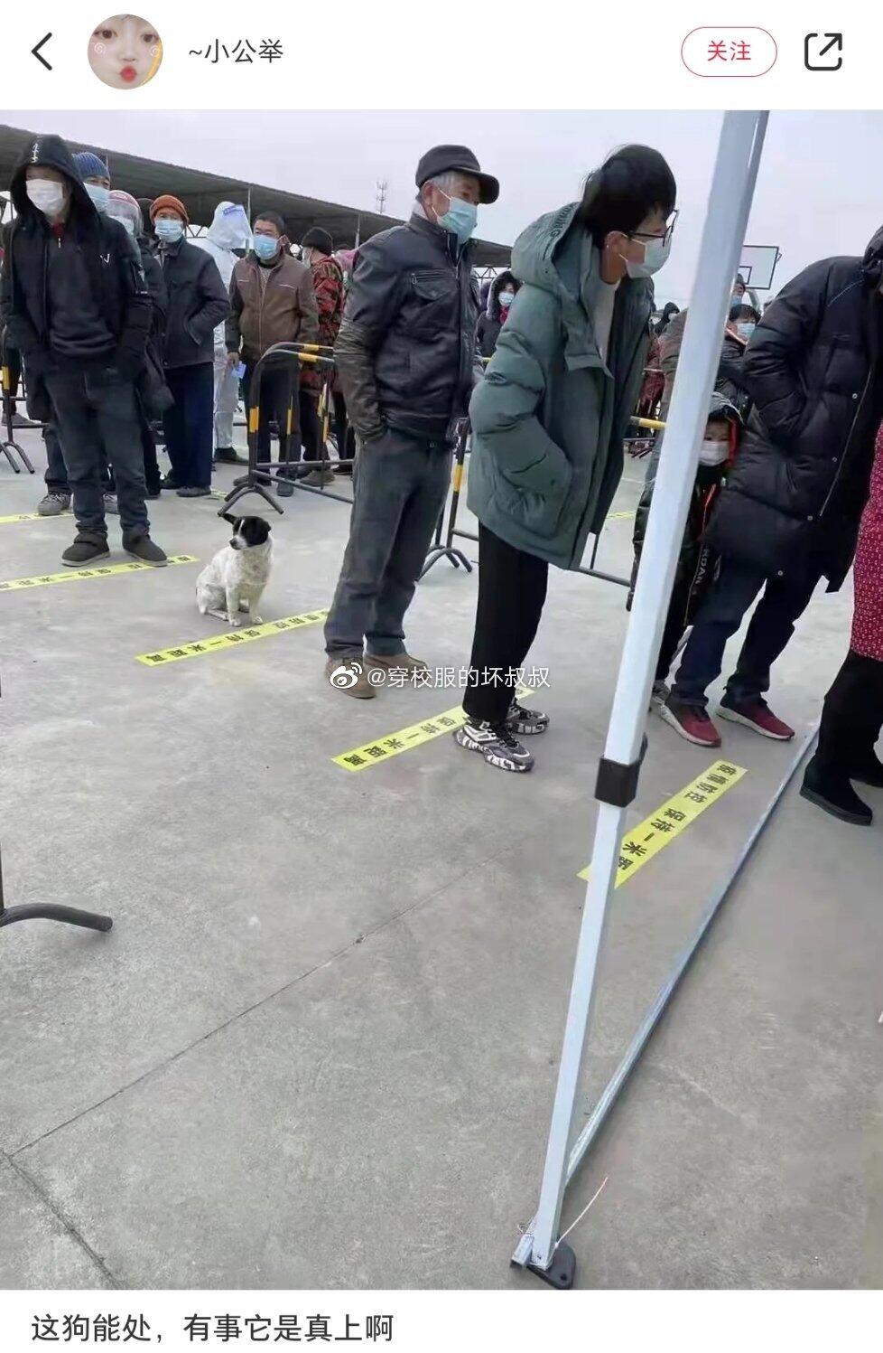 轻松一刻:兔子不吃窝边草,老婆就往人窝里跑… 轻松一刻:兔子不吃窝边草,老婆就往人窝里跑…