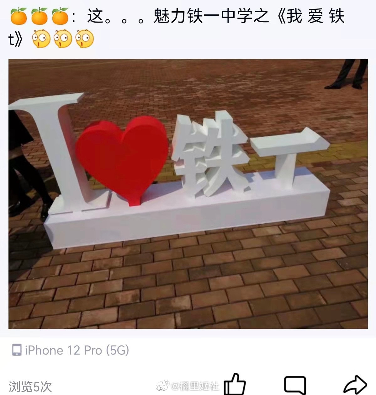 轻松一刻:兔子不吃窝边草,老婆就往人窝里跑… 轻松一刻:兔子不吃窝边草,老婆就往人窝里跑…