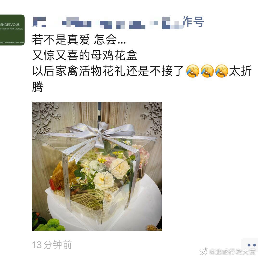 轻松一刻:兔子不吃窝边草,老婆就往人窝里跑… 轻松一刻:兔子不吃窝边草,老婆就往人窝里跑…