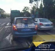 让我靠近仔细看一看