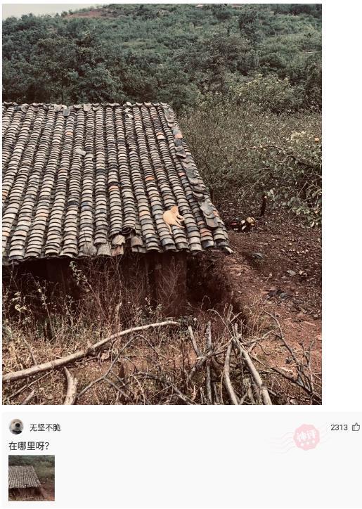 神回复:当你看九宫格转牌时,少一张牌,你猜是哪张? 神回复:当你看九宫格转牌时,少一张牌,你猜是哪张?
