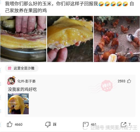 神回复:如果别人敬酒敬一圈人,唯独不敬你,你会怎么办? 神回复:如果别人敬酒敬一圈人,唯独不敬你,你会怎么办?