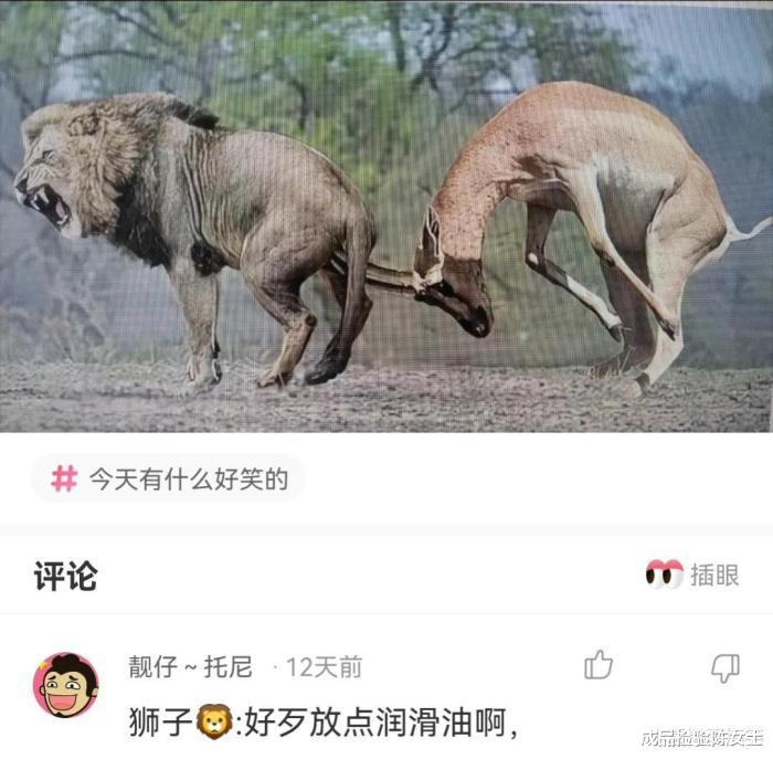 “抓了一个奇怪的动物,有认识的吗?”味道好不好! “抓了一个奇怪的动物,有认识的吗?”味道好不好!