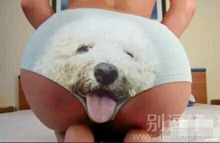 这狗也太逼真了吧 这狗也太逼真了吧