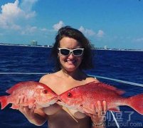 卧槽,这鱼真好看 卧槽,这鱼真好看