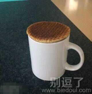 我的新杯盖怎么样 我的新杯盖怎么样