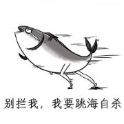 作业还没写却要开学