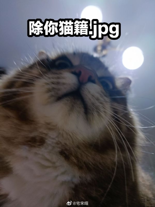 轻松一刻:榜一上头大哥约女主播,疯狂试探女子下限 轻松一刻:榜一上头大哥约女主播,疯狂试探女子下限